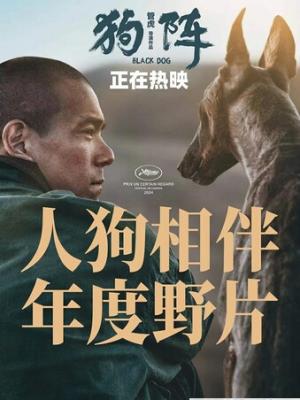 动漫推荐